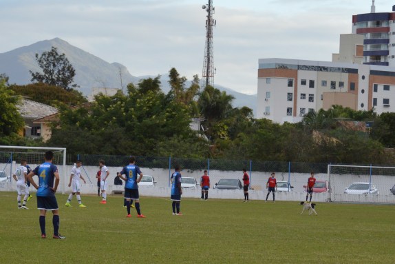 Jogadores do Guarani observam cusco dando uma banda pelo gramado do Renato Silveira. (Foto: Lucas Gabriel Cardoso)