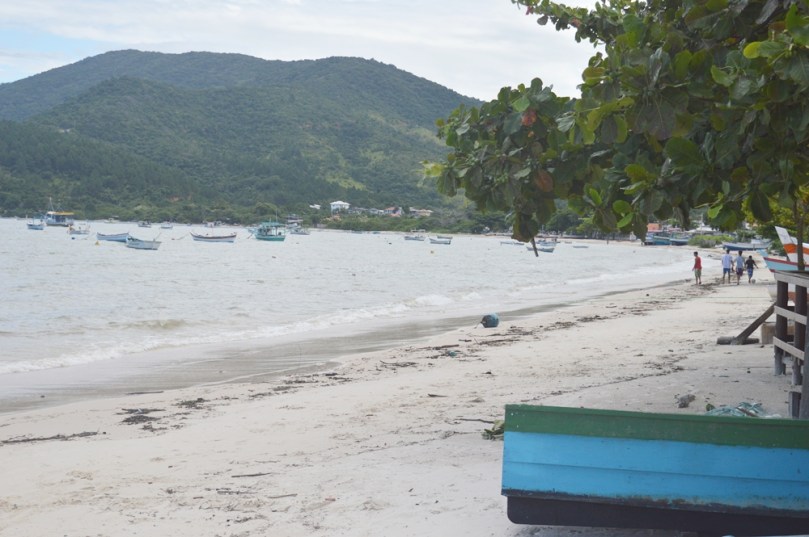 Pescador x Estrela AzulDSC_0223-20