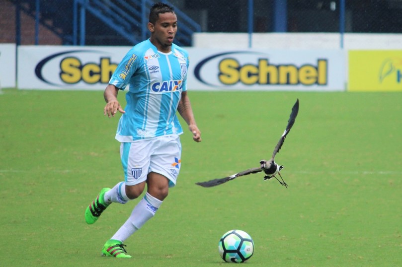 Avaí x Grêmio60