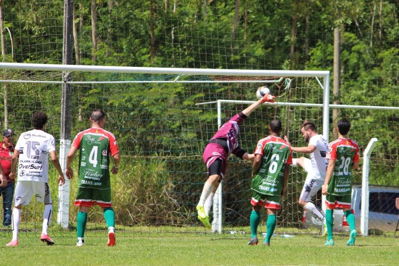 Olaria x Lageadense40