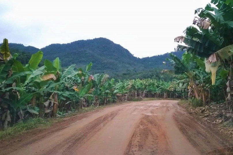 43828436_541064223025359_4747497875078905856_n